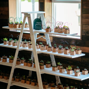 White Wooden A-Frame Ladder