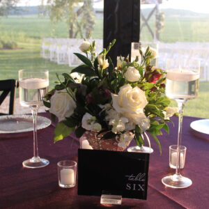 Alternative view of Icy Silver Package - Guest Table